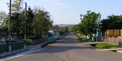 img_01